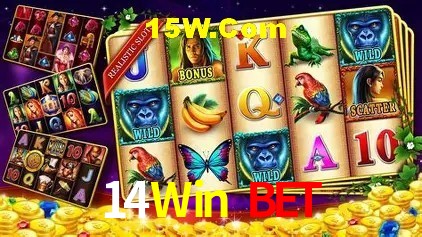 14Win Bet Slot - 320+ Caça-Níqueis Premium